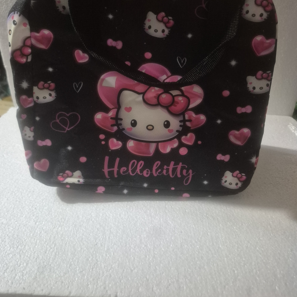 Hello Kitty Black and Pink Cosmetic Case